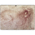 Leonardo da Vinci Sketch of a roaring lion Surface Pro 8 Skin