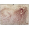 Leonardo da Vinci Sketch of a roaring lion Surface Pro 9 Skin