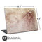 Leonardo da Vinci Sketch of a roaring lion Universal Laptop 11in (8.8 x 6.2in) Skin