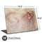 Leonardo da Vinci Sketch of a roaring lion Universal Laptop 18in (14.6 x 10.6in) Skin