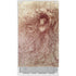 Leonardo da Vinci Sketch of a roaring lion Xbox Series S Bundle Skin