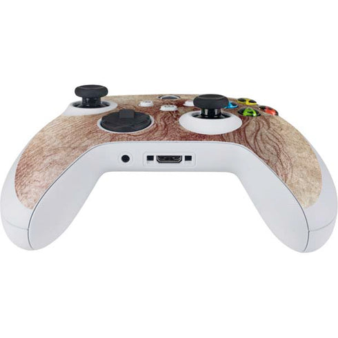 Leonardo da Vinci Sketch of a roaring lion Xbox Series S Controller Skin