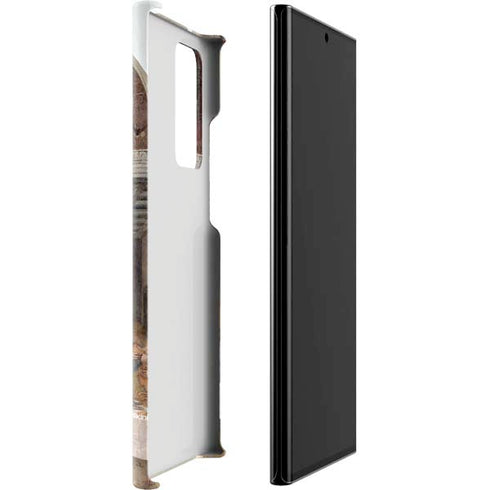 Leonardo da Vinci The Last Supper Galaxy Note20 Ultra 5G Lite Case