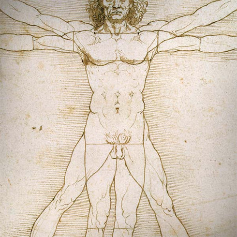 Leonardo da Vinci The Proportions of Man Galaxy Note 8 Skin