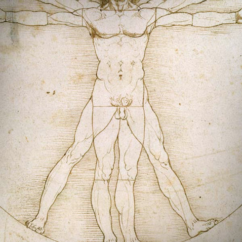 Leonardo da Vinci The Proportions of Man iPhone X Pro Case