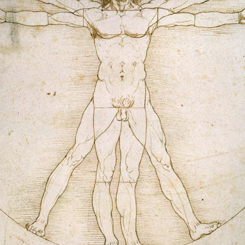 Leonardo da Vinci The Proportions of Man iPhone XR Skin