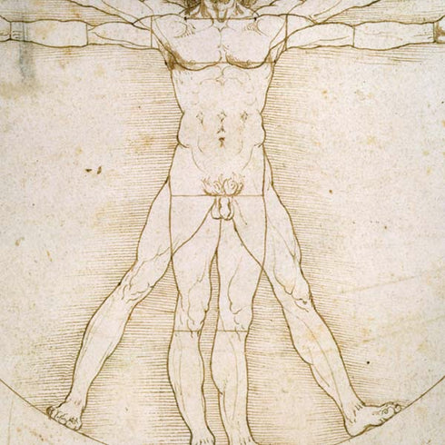 Leonardo da Vinci The Proportions of Man iPhone XS Pro Case