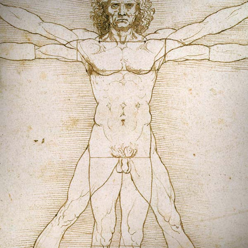 da Vinci - The Proportions of Man by Da Vinci Moto G6 Skin