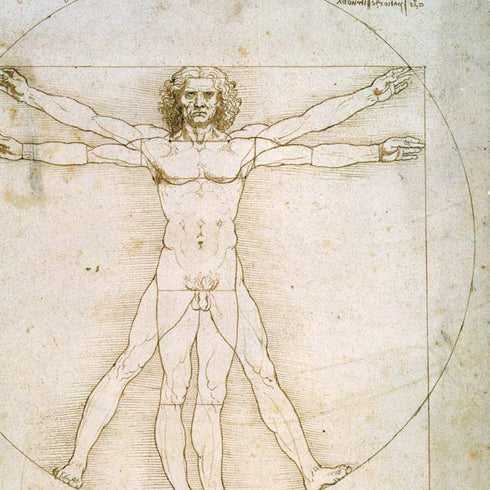 Leonardo da Vinci The Proportions of Man PS4 Console Skin