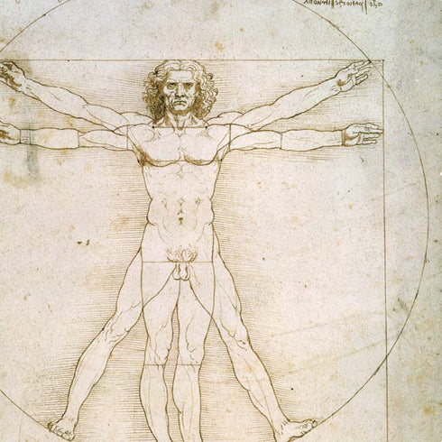 Leonardo da Vinci The Proportions of Man PS4 Pro Bundle Skin