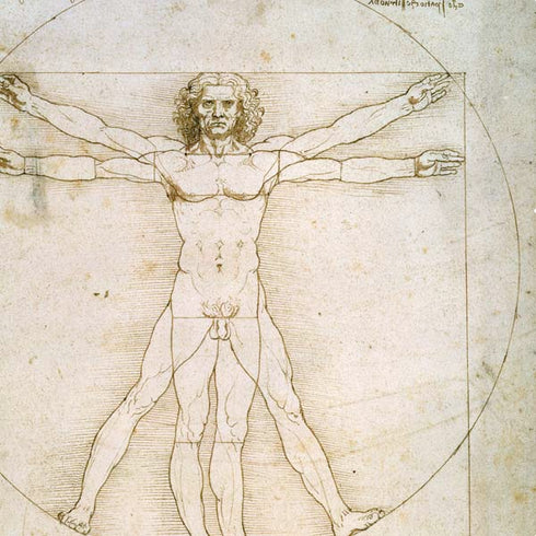 Leonardo da Vinci The Proportions of Man PS4 Pro/Slim Controller Skin