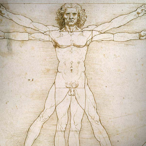 Da Vinci - The Proportions of Man by Da Vinci HP Spectre Skin