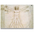 Leonardo da Vinci The Proportions of Man Surface Book 2 13.5in Skin