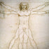 Leonardo da Vinci The Proportions of Man Surface Book 2 13.5in Skin
