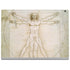 Leonardo da Vinci The Proportions of Man Surface Book 2 15in Skin
