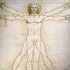 Leonardo da Vinci The Proportions of Man Surface Book 2 15in Skin