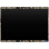 NFL Dallas Cowboys Realtree AP Camo Surface Pro 9 Skin
