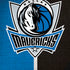 NBA Dallas Mavericks Canvas iPhone X Skin