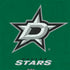NHL Dallas Stars Distressed Nintendo 2DS XL (2017) Skin