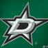 NHL Dallas Stars Distressed HP Spectre Skin