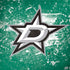 NHL Dallas Stars Frozen Legion Y720 Skin