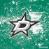 NHL Dallas Stars Frozen PS4 Console and Controller Bundle Skin