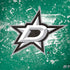 NHL Dallas Stars Frozen Surface Book 2 13.5in Skin