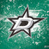 NHL Dallas Stars Frozen Surface Book 2 15in Skin