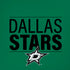 NHL Dallas Stars Lineup iPhone XR Skin