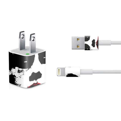 DC Comics The Joker Dark Knight Poster Art iPhone Charger (5W USB) Skin