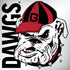 University of Georgia Dawgs Dell Alienware Skin