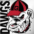 University of Georgia Dawgs HP Spectre Skin