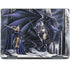 Ruth Thompson Dead of Winter Dragon and Warriors Notebook 9 Pro 13in (2017) Skin