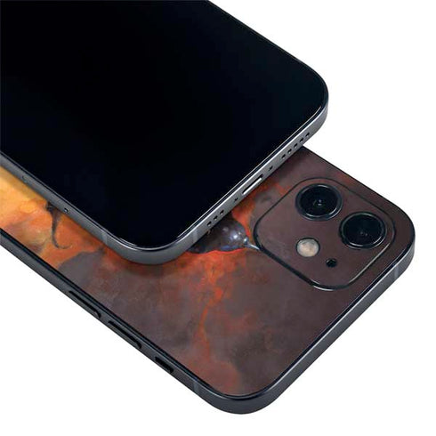 Frazetta Death Dealer iPhone 12 Skin