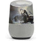 Frazetta Death Dealer on Horseback Google Home Skin