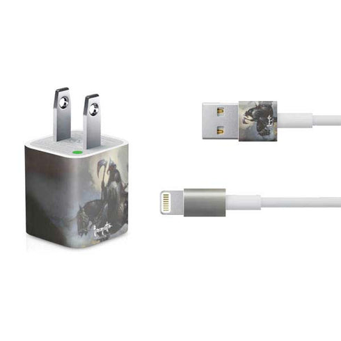 Frazetta Death Dealer on Horseback iPhone Charger (5W USB) Skin