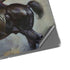Frazetta Death Dealer on Horseback Surface Pro 8 Skin