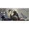 Frazetta Death Dealer on Horseback Xbox Adaptive Controller Skin