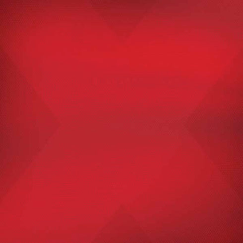 Denmark Soccer Flag iPhone X Skin