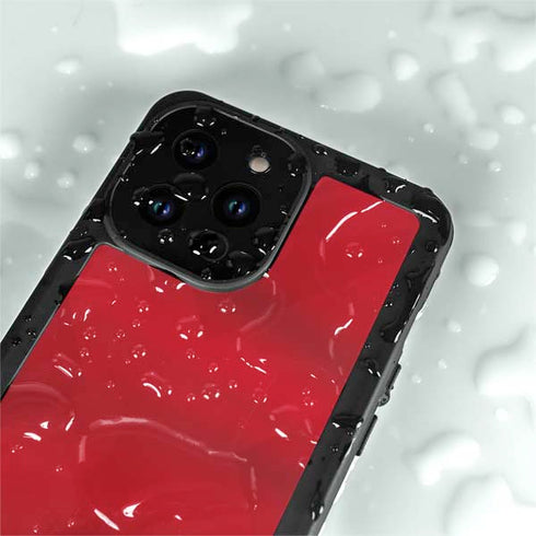 Denmark Soccer Flag iPhone 14 Pro Waterproof Case