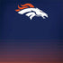 NFL Denver Broncos Breakaway Legion Y720 Skin