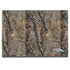 NFL Denver Broncos Realtree AP Camo HP Envy Skin