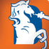 NFL Denver Broncos Retro Logo Legion Y720 Skin