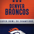 NFL Denver Broncos Super Bowl 50 Champions Galaxy Note 8 Skin