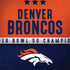 NFL Denver Broncos Super Bowl 50 Champions Notebook 9 Pro 13in (2017) Skin
