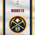 NBA Denver Nuggets PS4 Console Skin