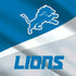 NFL Detroit Lions Nintendo 2DS XL (2017) Skin