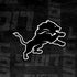 NFL Detroit Lions Black & White iPhone X Pro Case