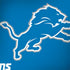 NFL Detroit Lions Distressed Legion Y720 Skin