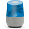 NFL Detroit Lions Double Vision Google Home Skin